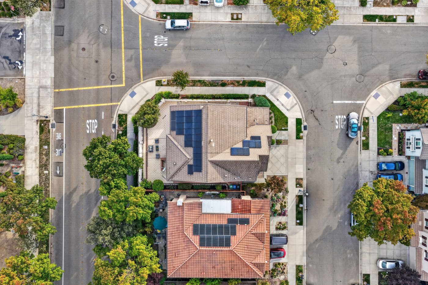 The close up top down