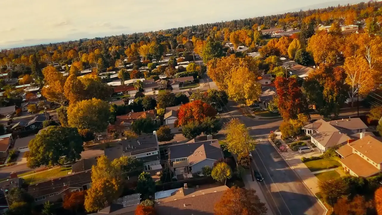 Film still: drone view over autumn trees and rooftops, 1603 Husted Ave, San Jose
