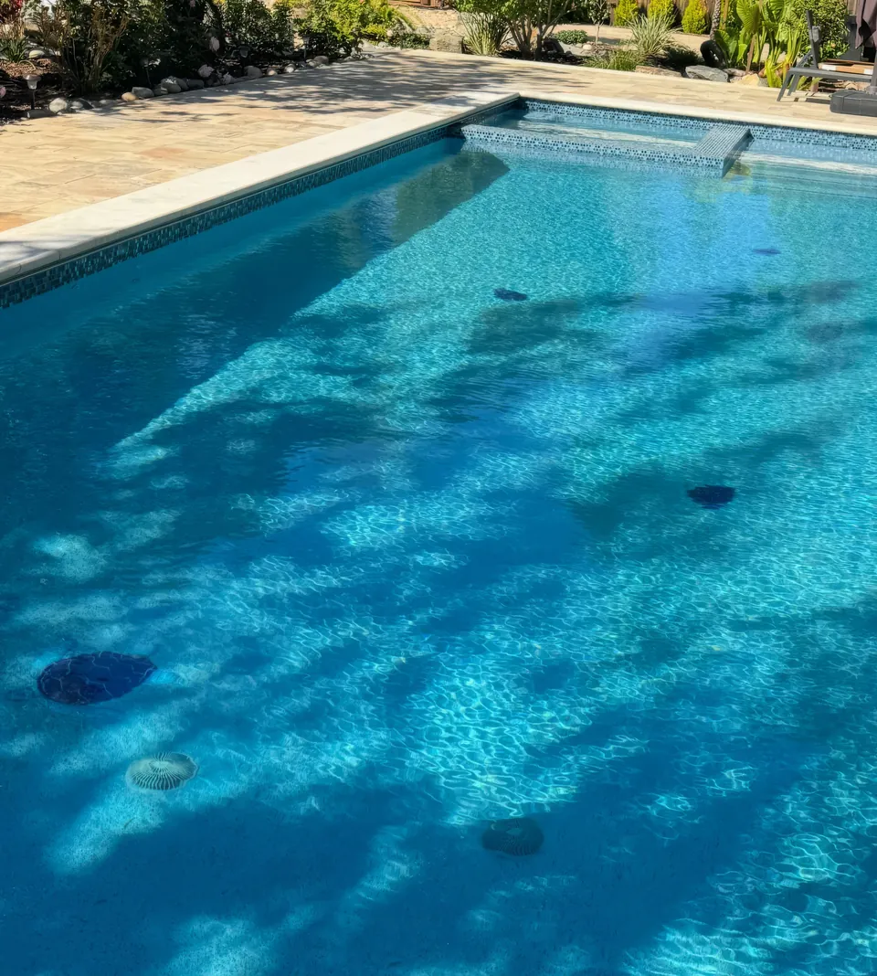 Blue tile pool in dappled shade with small turtle mosaics on the floor
