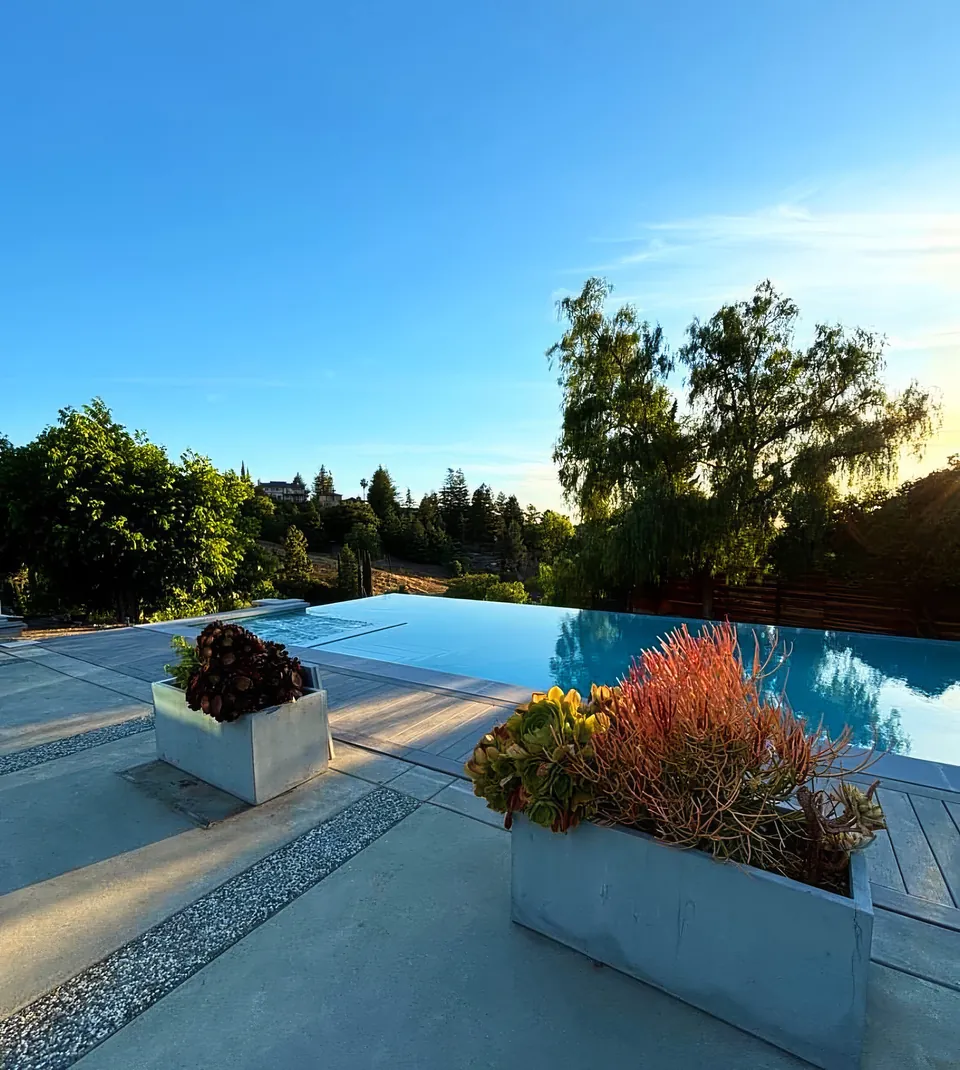 Pool edge meeting the treeline, with succulent planters on the deck