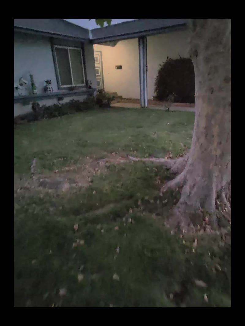 Neighbor's Lawn, Natural Vignette