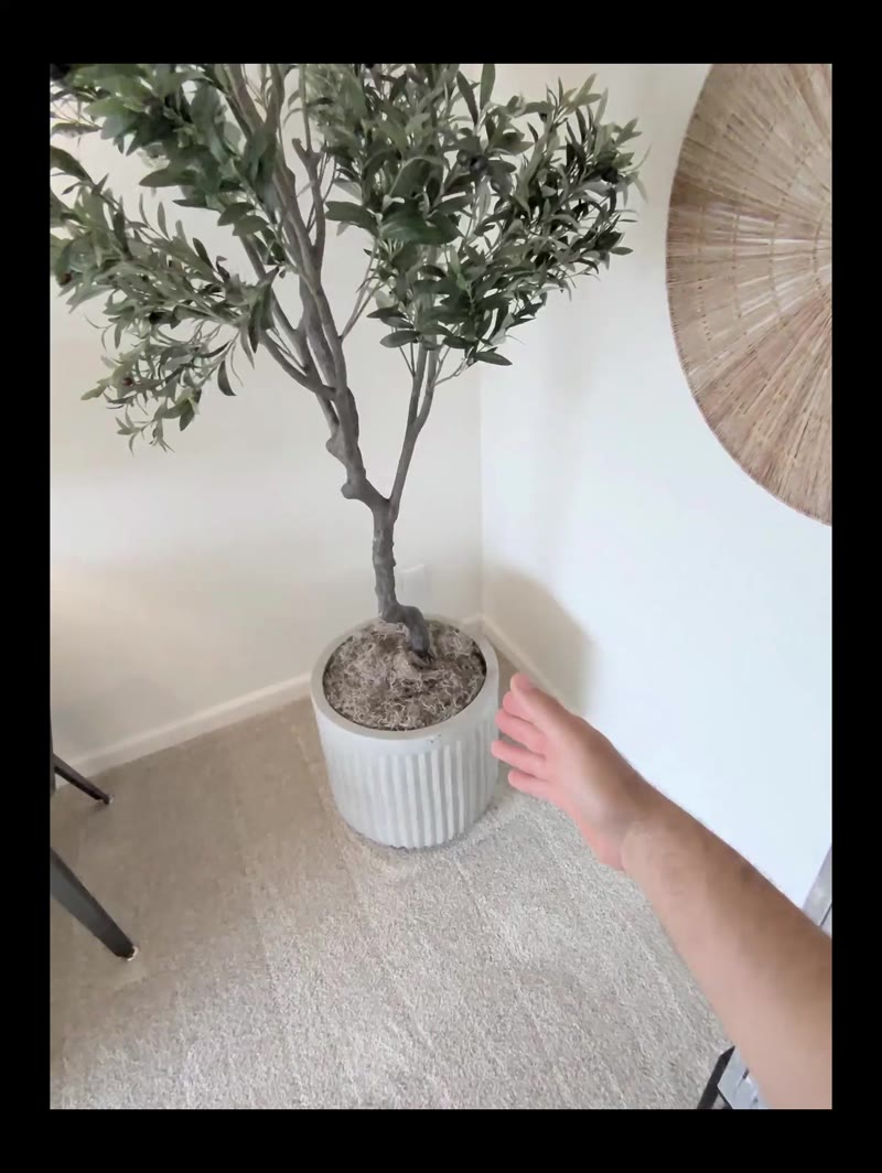 Fight the Big Plants